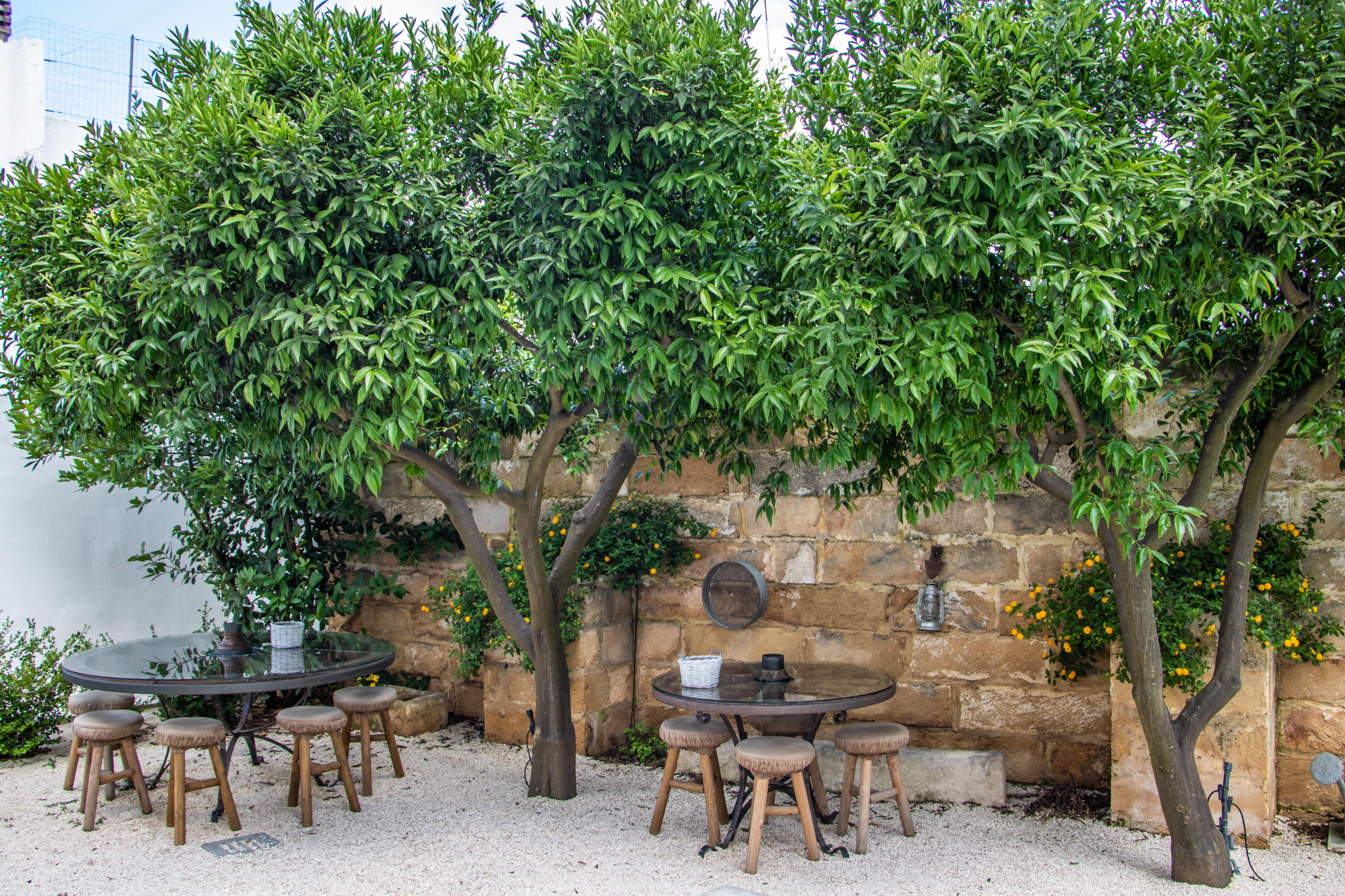 Bed and Breakfast Palazzo Castriota Alezio Exterior foto